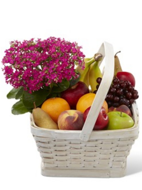 GARDEN PARADISE BASKET